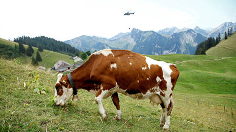 © Reuters / Denis Balibouse