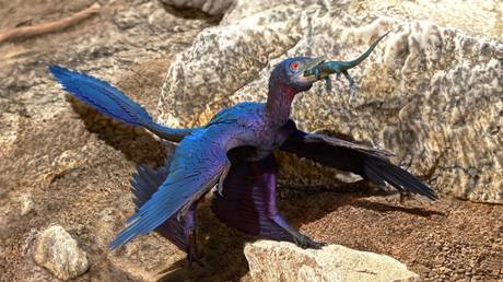 Illustration of the lizard-swallowing Microraptor. © Doyle Trankina