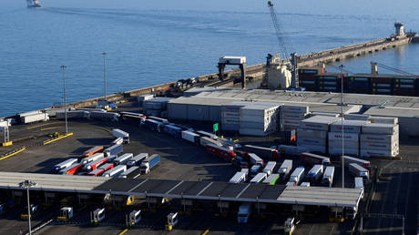 Lorries queue at border and security checkpoints at the Port of Dover, Britain, February 14, 2019 © REUTERS/Toby Melville