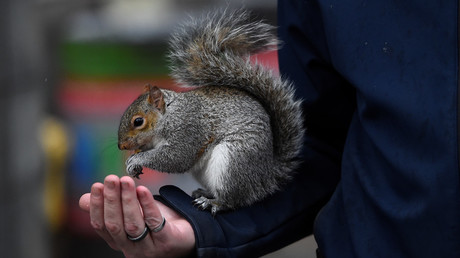 © Reuters / Clodagh Kilcoyne