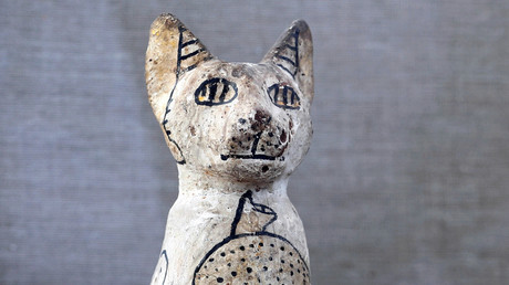 A cat statue discovered in a tomb in Saqqara is displayed. 
©  Reuters/ Mohamed Abd El Ghany