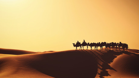 © Global Look Press