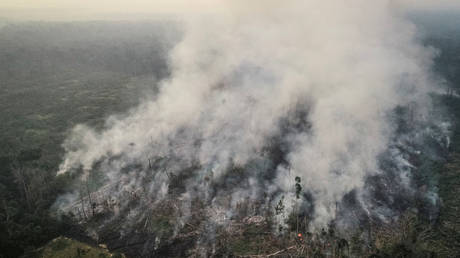 © Reuters / Ueslei Marcelino