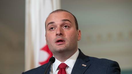 Mamuka Bakhtadze resigned as Prime Minister of Georgia © AFP / NICHOLAS KAMM
