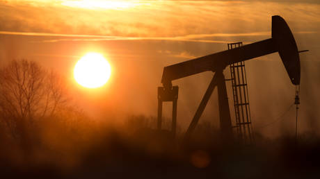 FILE PHOTO © Global Look Press / Friso Gentsch