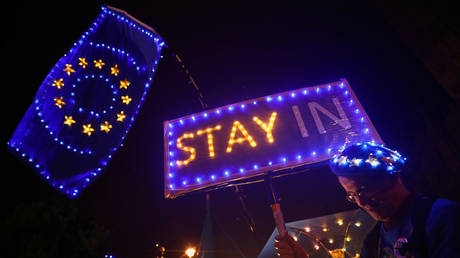 Anti-Brexit demonstrators stand outside the Houses of Parliament in London © Reuters / Hannah McKay