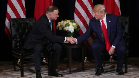 US President Donald Trump meets with Poland's President Andrzej Duda © Reuters / Jonathan Ernst