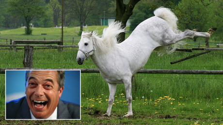 (Main) Brexit Party leader Nigel Farage © Reuters / Henry Nicholls (Bottom left) A horse kicking © Global look Press / H. & M.Kuczka