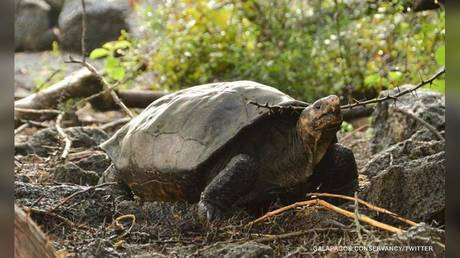 Photo courtesy of Galapagos National Park Directorate