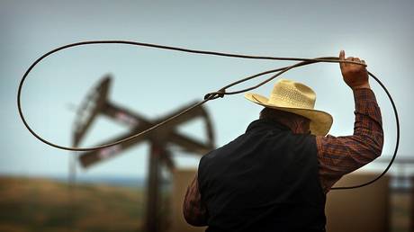 © Global Look Press / Jim Gehrz