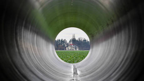FILE PHOTO © Global Look Press /  Patrick Pleul