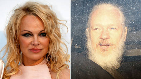 (L) Pamela Anderson © Reuters / Eric Gaillard; (R) WikiLeaks co-founder Julian Assange © Reuters / Henry Nicholls