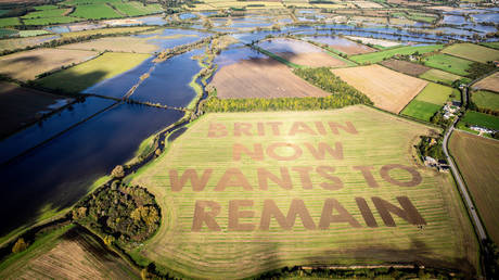 The words "Britain now wants to remain" cut by anti-Brexit group Led By Donkeys are seen in a field near Swindon © Reuters / Led By Donkeys