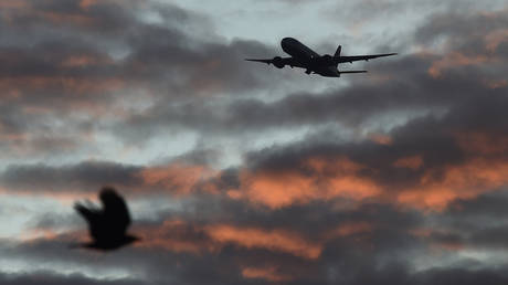 FILE PHOTO © REUTERS/Toby Melville