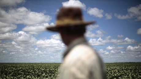 Farmer observes his soybean crops in Barreiras, Brazil