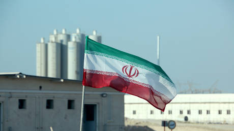 Iran's Bushehr nuclear power plant © AFP / Atta Kenare