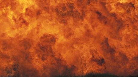 FILE PHOTO © Global Look Press/imagebroker/Arco Images / LaTerr