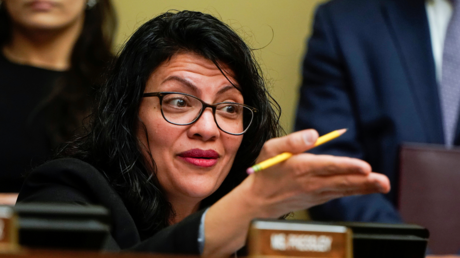 Rep. Rashida Tlaib (D-MI) © REUTERS/Joshua Roberts
