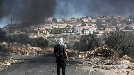 A Palestinian protester stands facing the settlement of Qadomem in the West Bank © Reuters / Mohamad Torokman