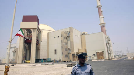 FILE PHOTO: A security official stands in front of the Bushehr nuclear reactor, 1,200 km (746 miles) south of Tehran © REUTERS/Raheb Homavandi