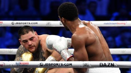 © AFP / Fayez Nureldine