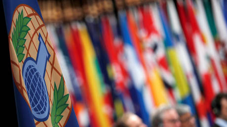 The logo of the Organisation for the Prohibition of Chemical Weapons (OPCW) is seen during a special session in the Hague, Netherlands June 26, 2018.