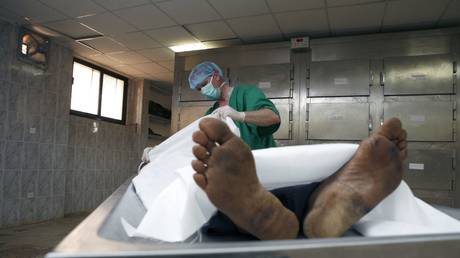 File photo: © Global Look Press / Stewart Goldstein