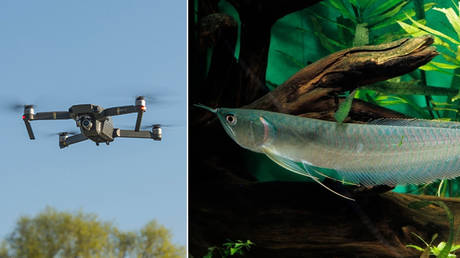 FILE PHOTO (L) © Global Look Press / imageBROKER.com / Moritz Wolf; (R) © Global Look Press / Arco Images GmbH / H. Reinhard