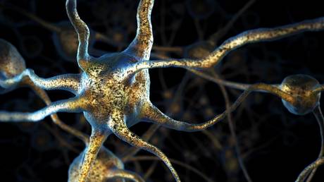 File photo © Oleksiy Maksymenko/imageBROKER.com/GlobalLookPress