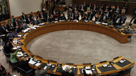 FILE PHOTO: UN Security Council members are seen voting on a resolution.
