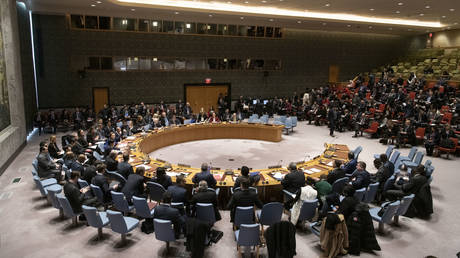 A UN Security Council meeting. © AFP / UN / Mark Garten