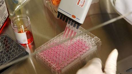 FILE PHOTO © Global Look Press / Medicimage LTD / Stewart Goldstein