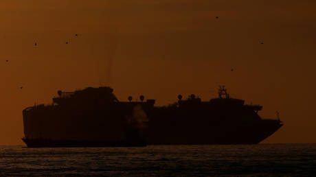 Cruise ship Diamond Princess is seen anchored off the Yokohama Port in Japan after at least 11 passengers tested positive for the Wuhan coronavirus, February 5, 2020.