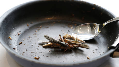 Jellyfish, insects & 3D-printed meat: Here’s what experts think you’ll be eating in the future