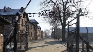 Holocaust establishment wants to take over US schools