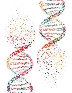 Microchimerism: Baby DNA Found in Mom