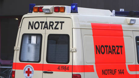 ‘What’s a girl seeking, alone at night?’ German mayor’s ‘victim-blaming’ blasted as immigrants accused of gang-raping teenager