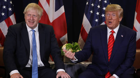 Trump urges his UK ‘friends’ Boris Johnson & Nigel Farage to unite ahead of Brexit