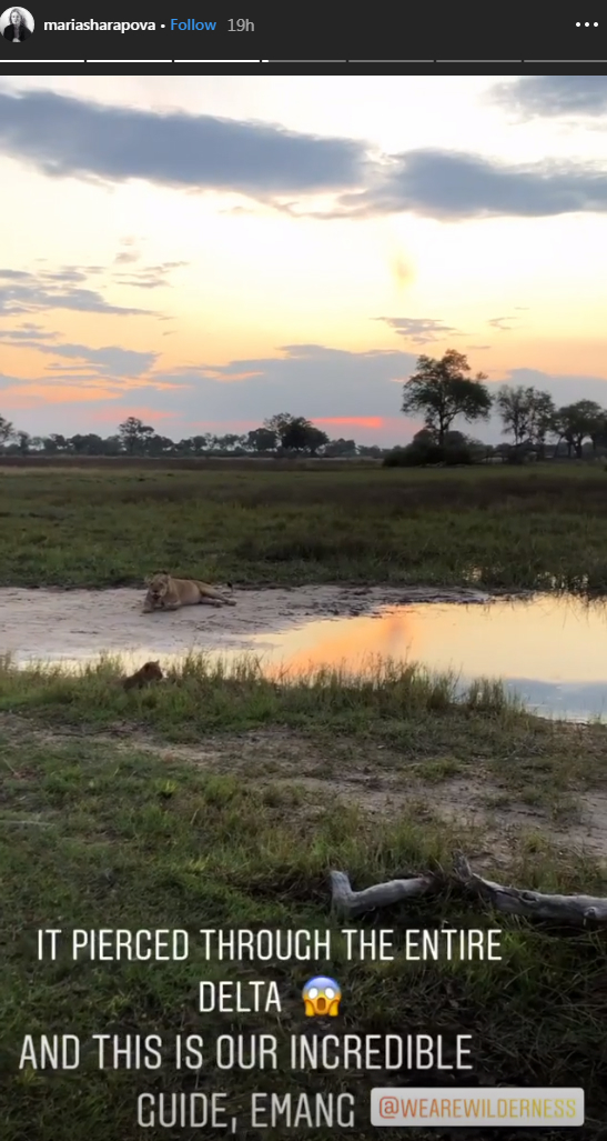 ‘It pierced through the entire delta!’ Maria Sharapova frightened by lion’s roar during safari trip (VIDEO)