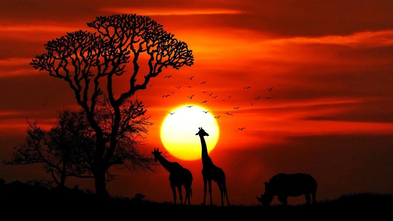 افریقہ کاروباری مواقع کی سرزمین، بشرطیکہ امریکہ اور چین تجارتی  معاہدہ کر لیں – بینک آف امریکہ