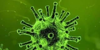 Chinese Pneumonia Outbreak: New Type of Coronavirus