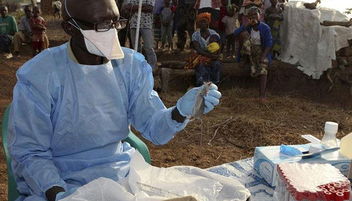 افریقہ میں لاسا بخار کی وبا سے درجنوں افراد ہلاک