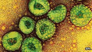 چین میں نمونیے کی وبا کے درپردہ  کورانا وائرس