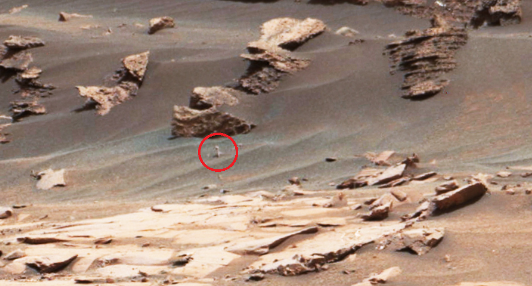 Rosebud or Mars shroom? Strange structure on Red Planet puzzles UFO hunters (VIDEO)