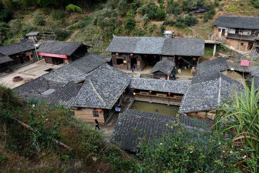 مچھروں سے پاک چینی گاؤں دریافت: سائنسدان حیران