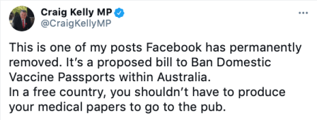 کورونا سے متعلق مبینہ غلط معلومات پھیلانے کے الزام پر فیس بک نے آسٹریلوی رکن پارلیمان کا مصدقہ صفحہ خذف کر دیا: اقدام آسٹریلوی جمہوریت پر حملہ ہے، رکن پارلیمان کا ردعمل