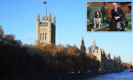 برطانوی پارلیمنٹ میں منشیات کا استعمال: اسپیکر کا سونگھنے والے کتے بھرتی کرنے کا عندیا